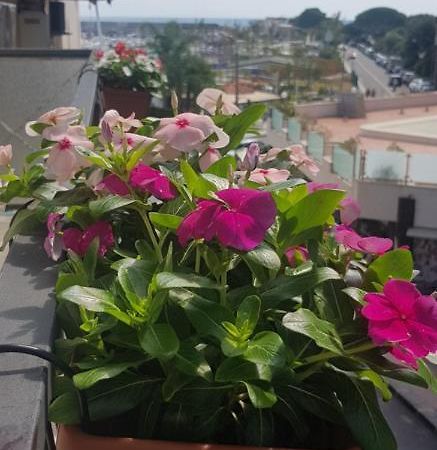 B&B La Costa Di Naxos Giardini Naxos Kültér fotó